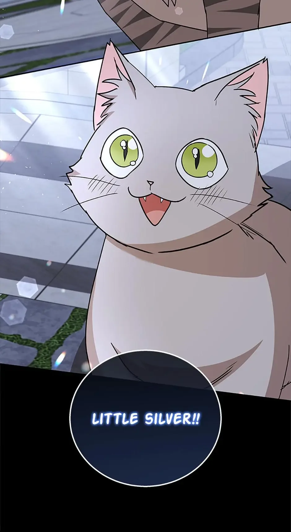 Hello! Veterinarian! Chapter 81 page 13