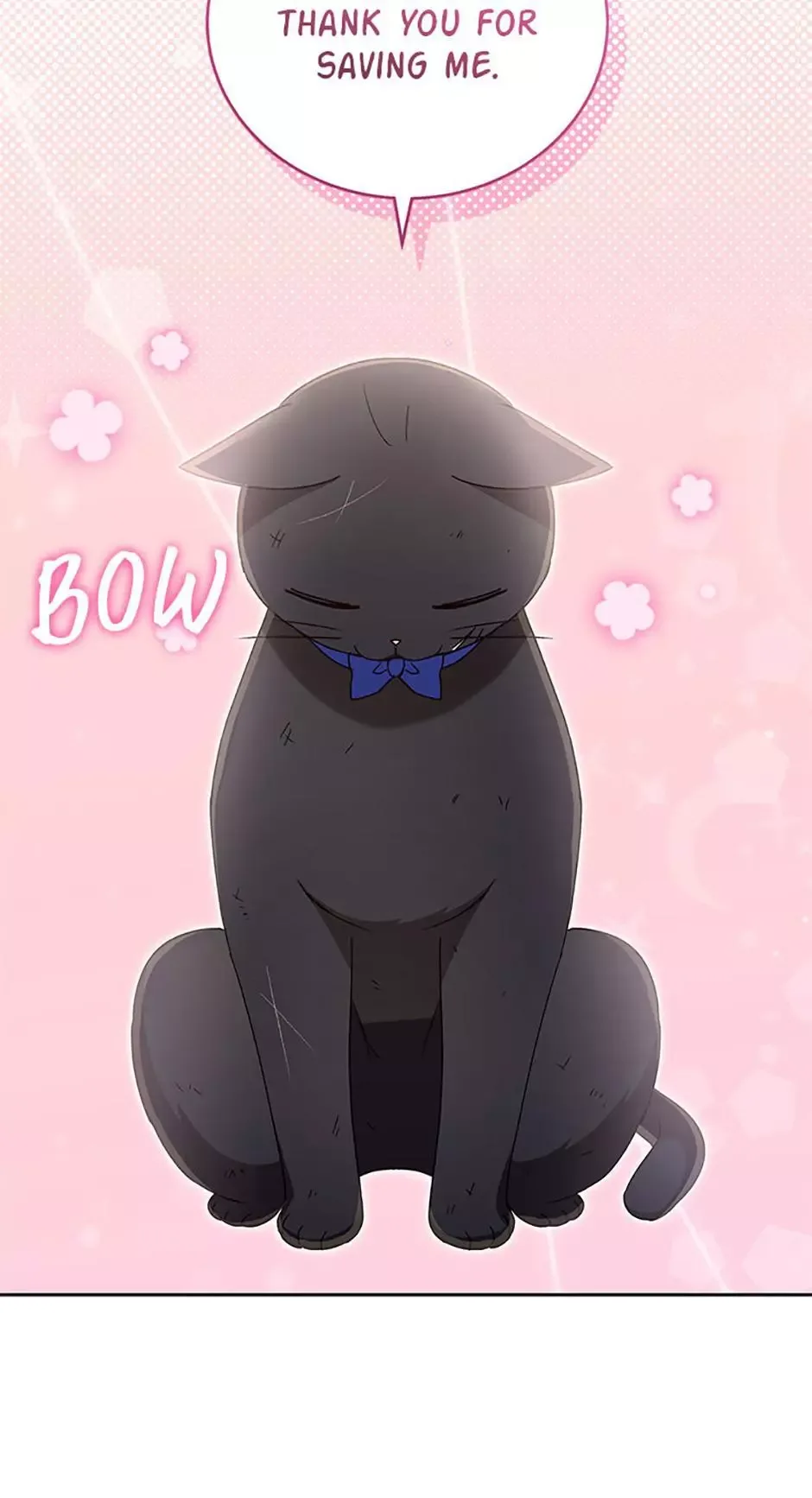 Hello! Veterinarian! Chapter 77 page 69