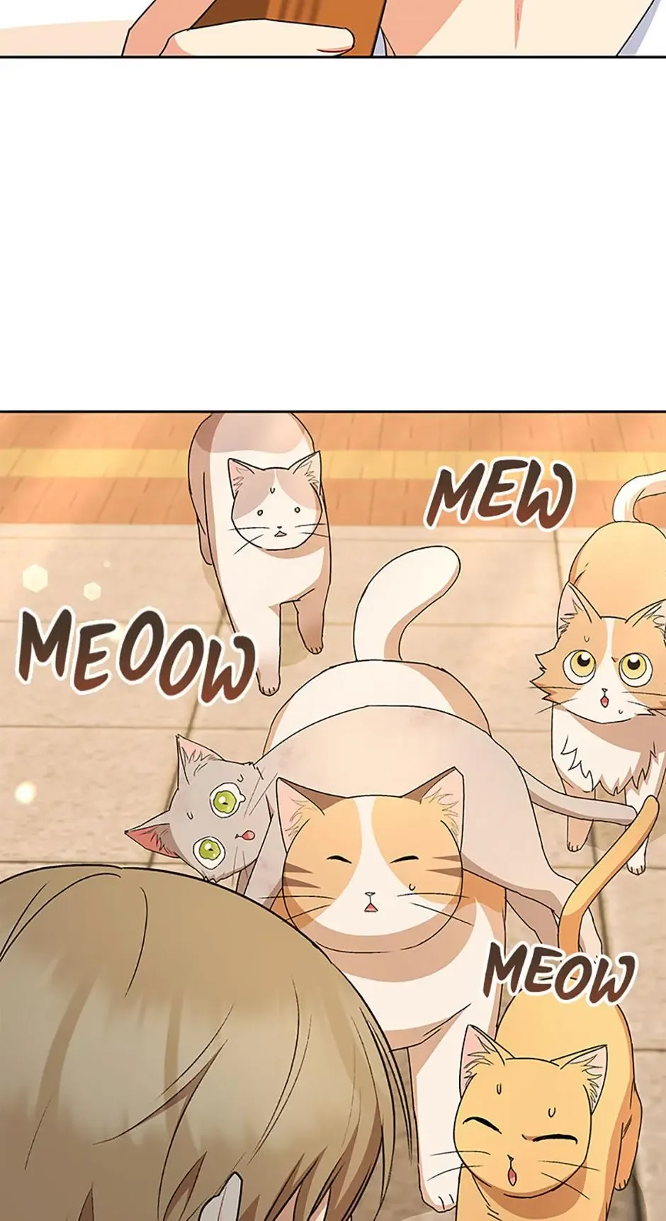 Hello! Veterinarian! Chapter 81 page 33