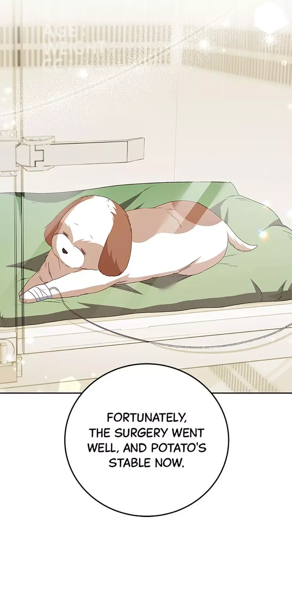 Hello! Veterinarian! Chapter 80 page 47