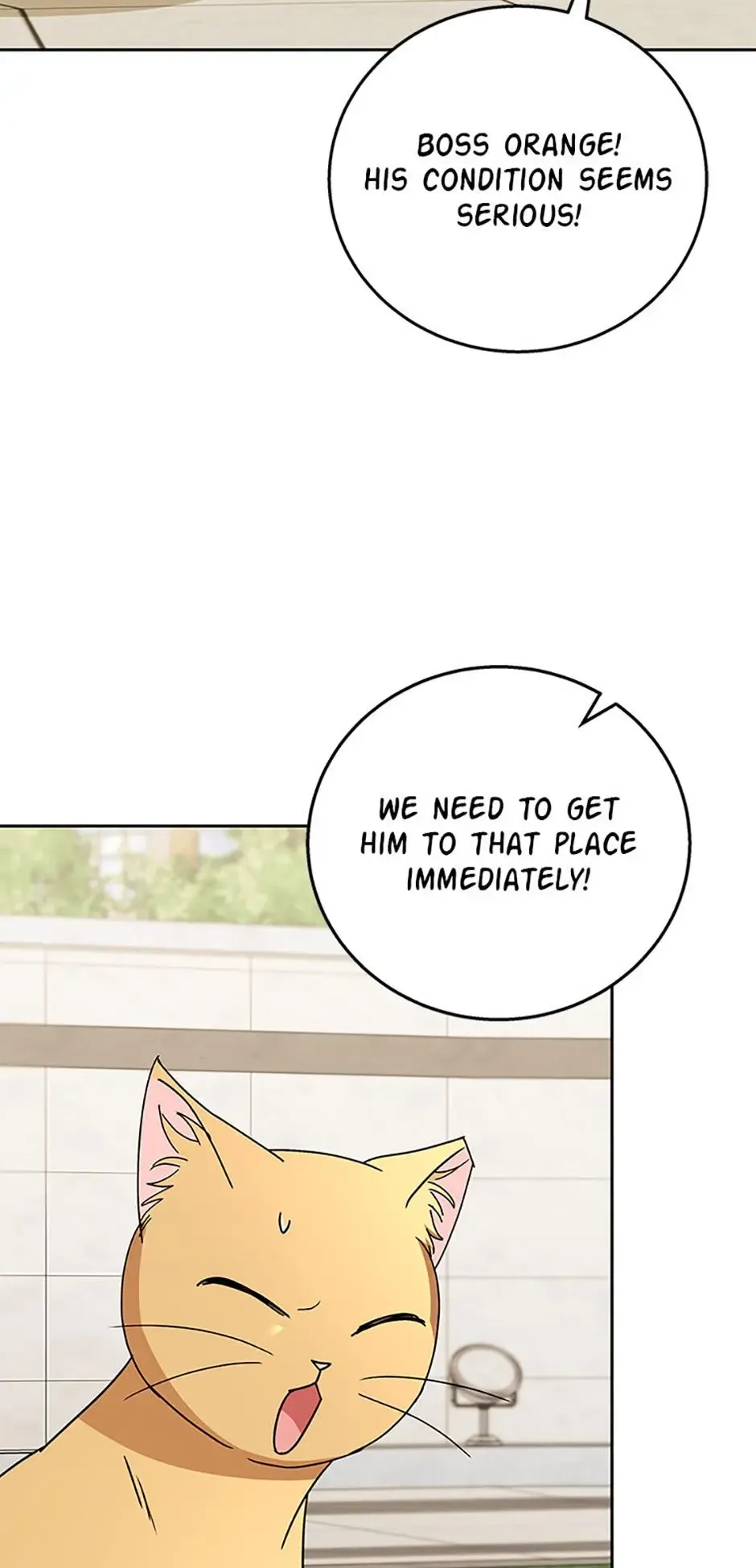 Hello! Veterinarian! Chapter 81 page 27