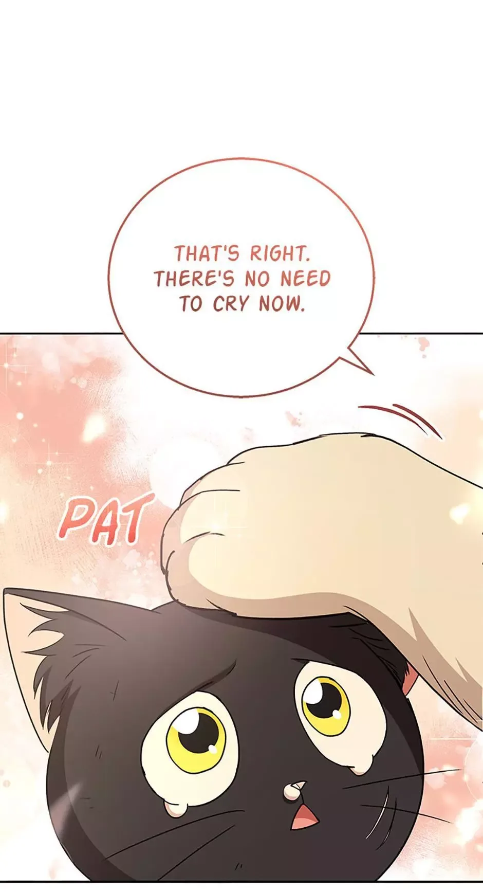 Hello! Veterinarian! Chapter 77 page 81