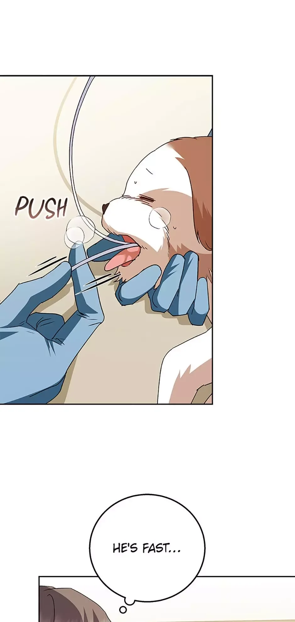 Hello! Veterinarian! Chapter 80 page 42