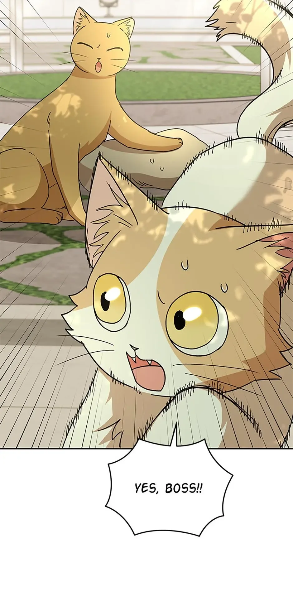 Hello! Veterinarian! Chapter 81 page 29