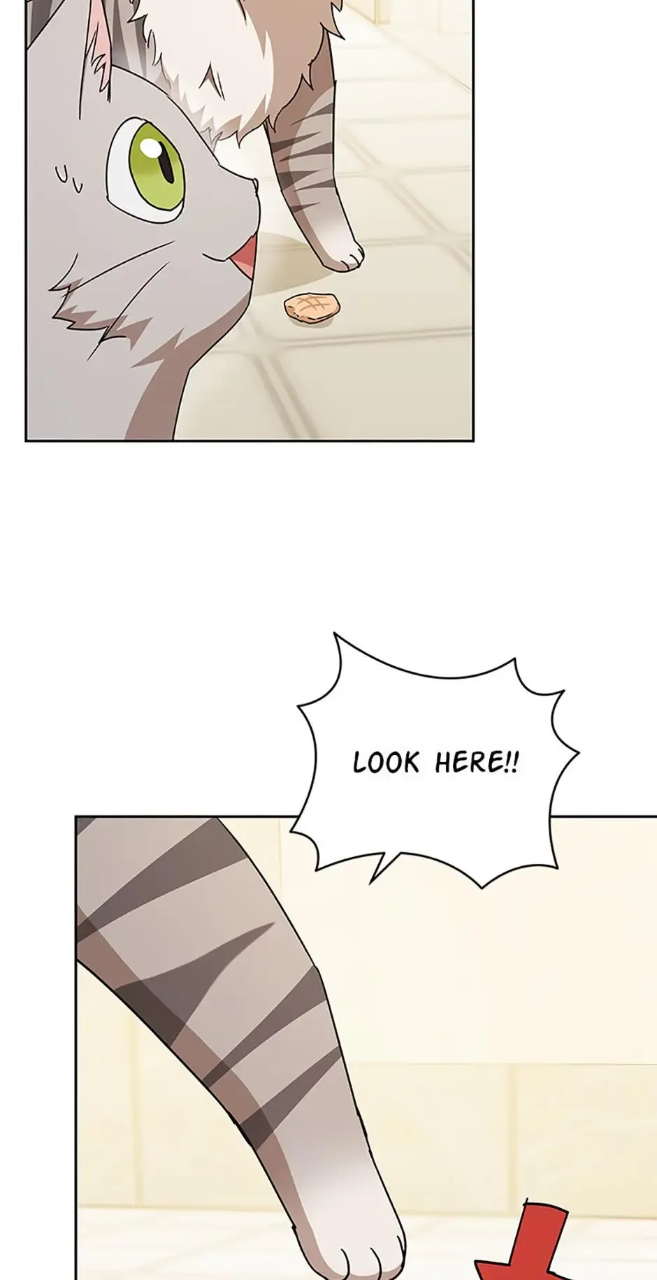 Hello! Veterinarian! Chapter 81 page 64