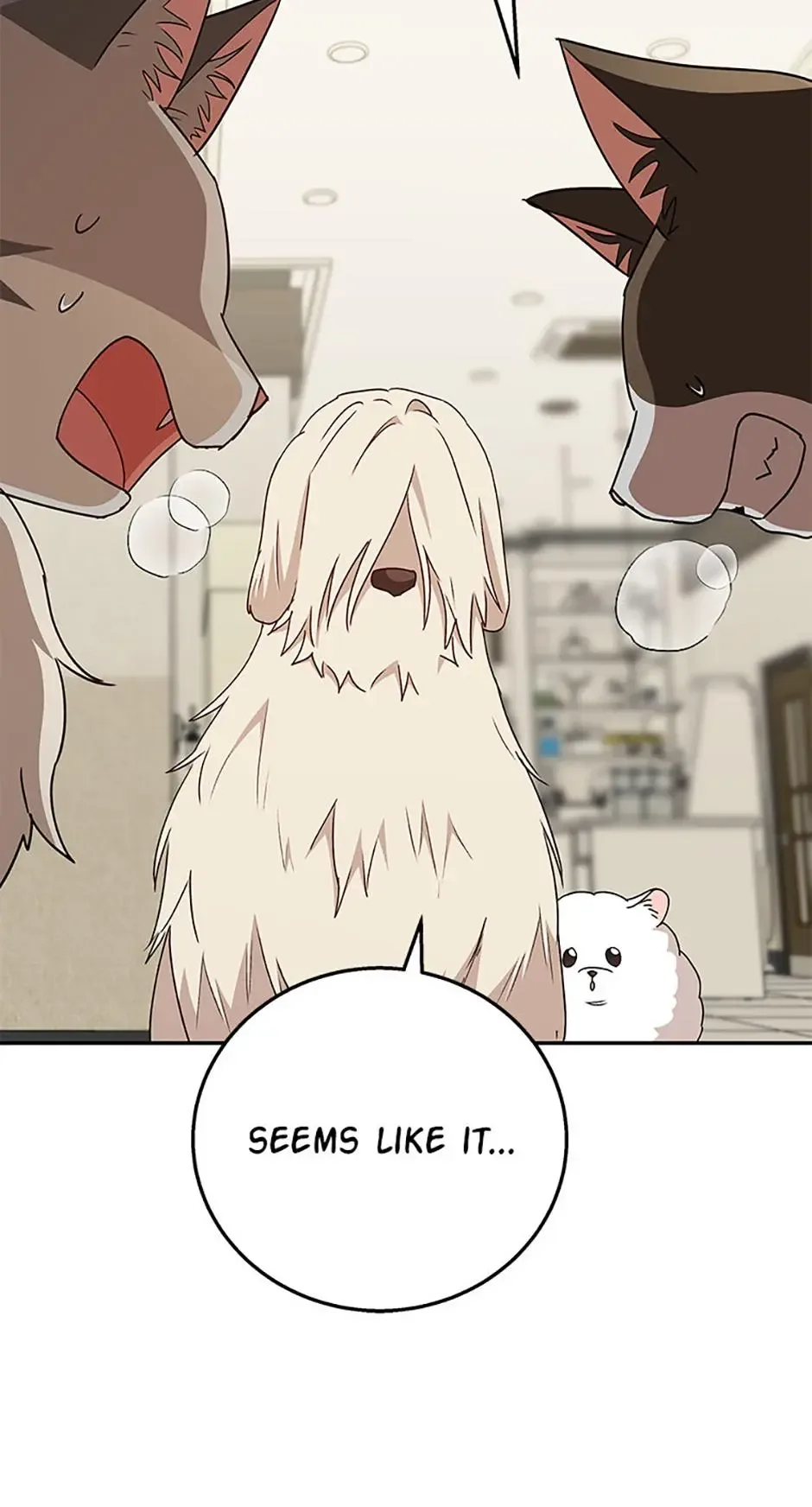 Hello! Veterinarian! Chapter 81 page 72