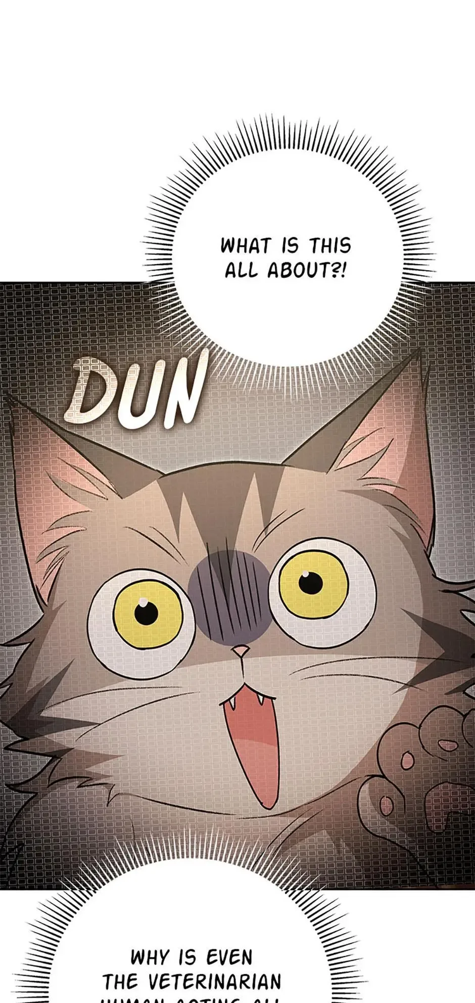 Hello! Veterinarian! Chapter 83 page 45