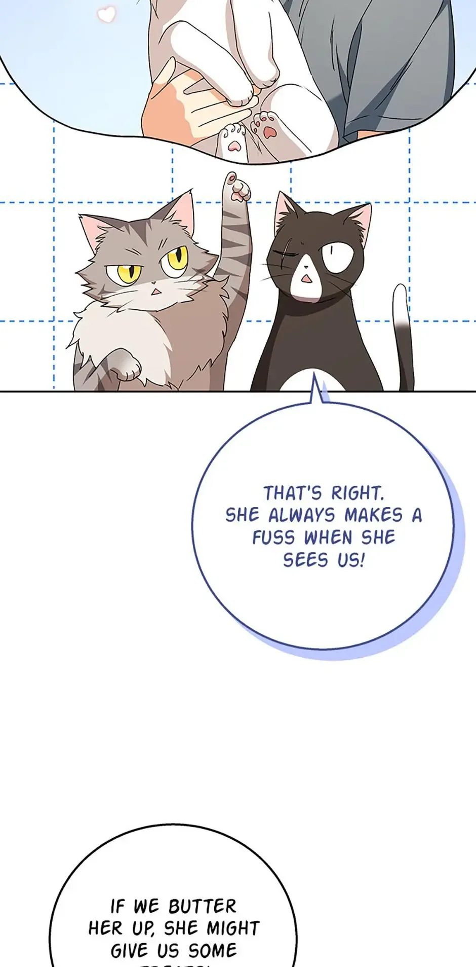 Hello! Veterinarian! Chapter 84 page 44