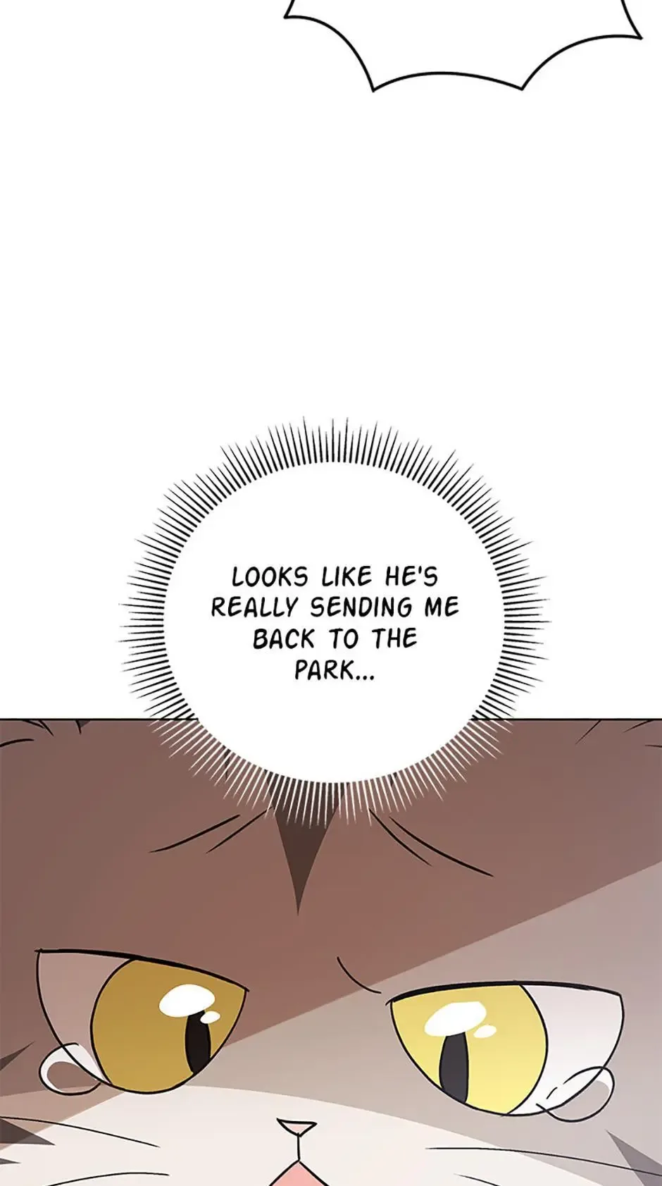 Hello! Veterinarian! Chapter 83 page 51