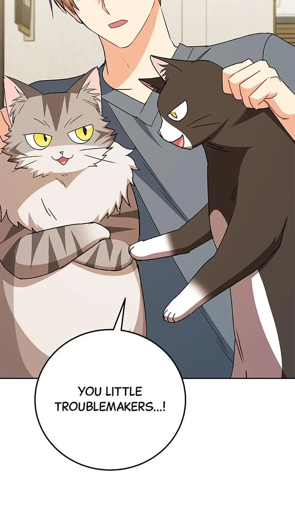 Hello! Veterinarian! Chapter 81 page 84