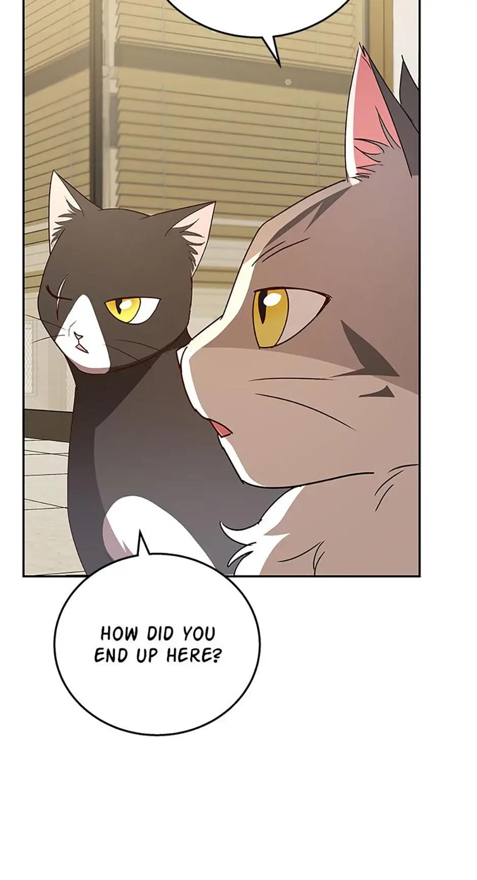 Hello! Veterinarian! Chapter 85 page 33