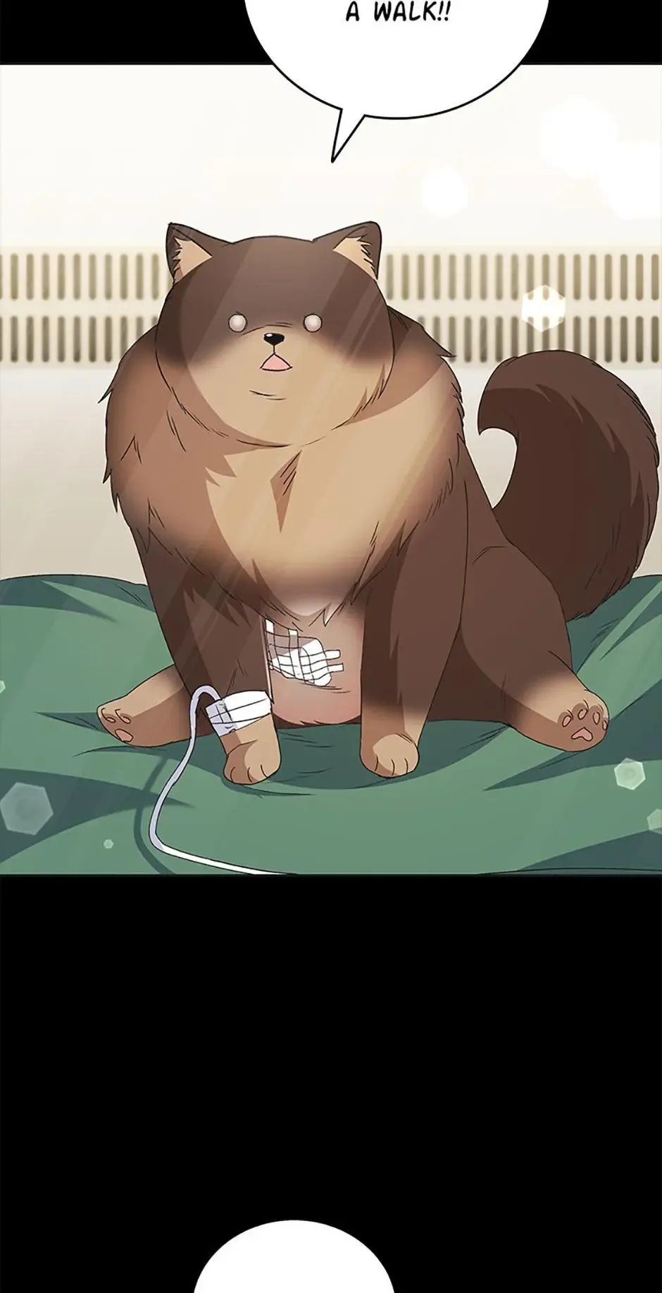 Hello! Veterinarian! Chapter 91 page 2