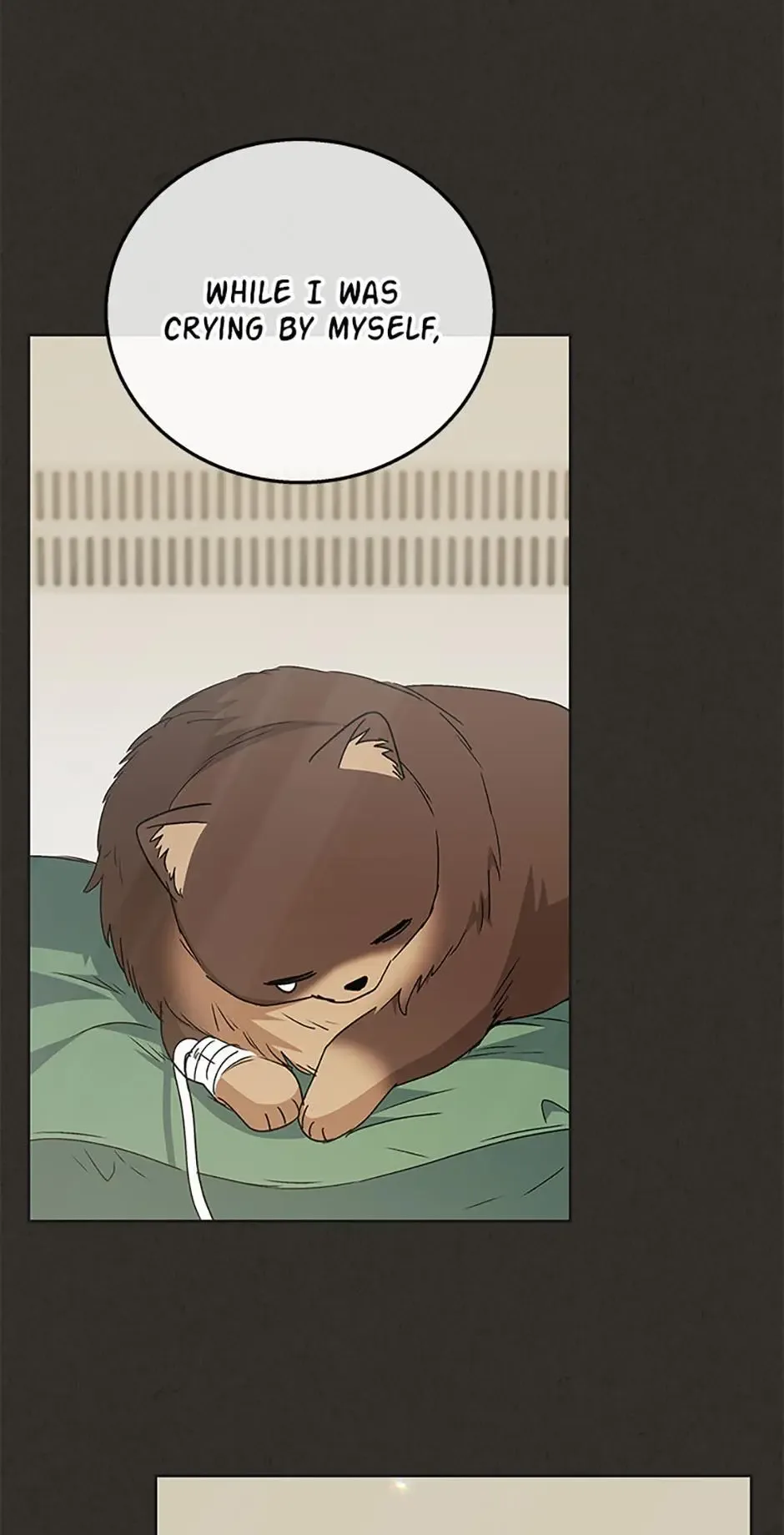Hello! Veterinarian! Chapter 91 page 8