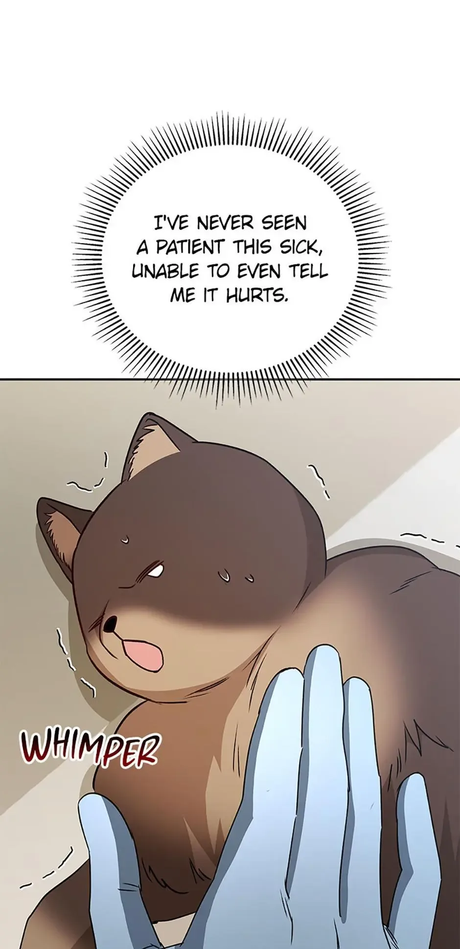 Hello! Veterinarian! Chapter 89 page 12