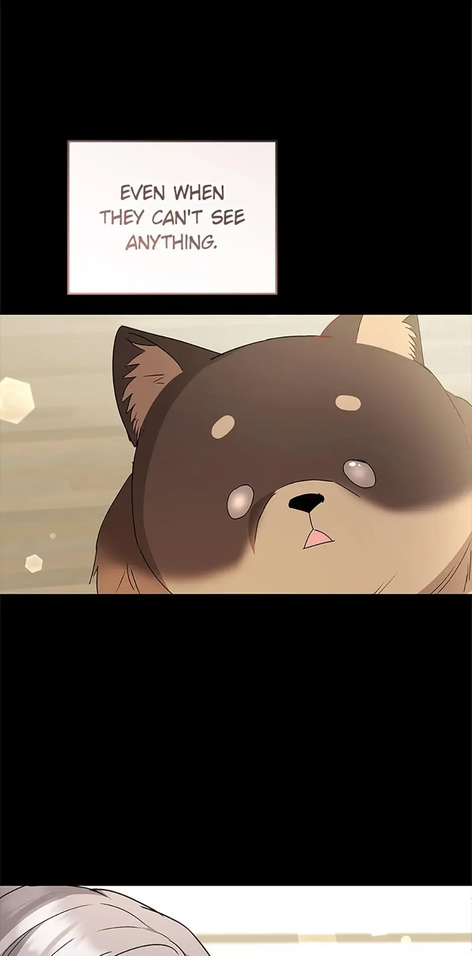 Hello! Veterinarian! Chapter 91 page 20