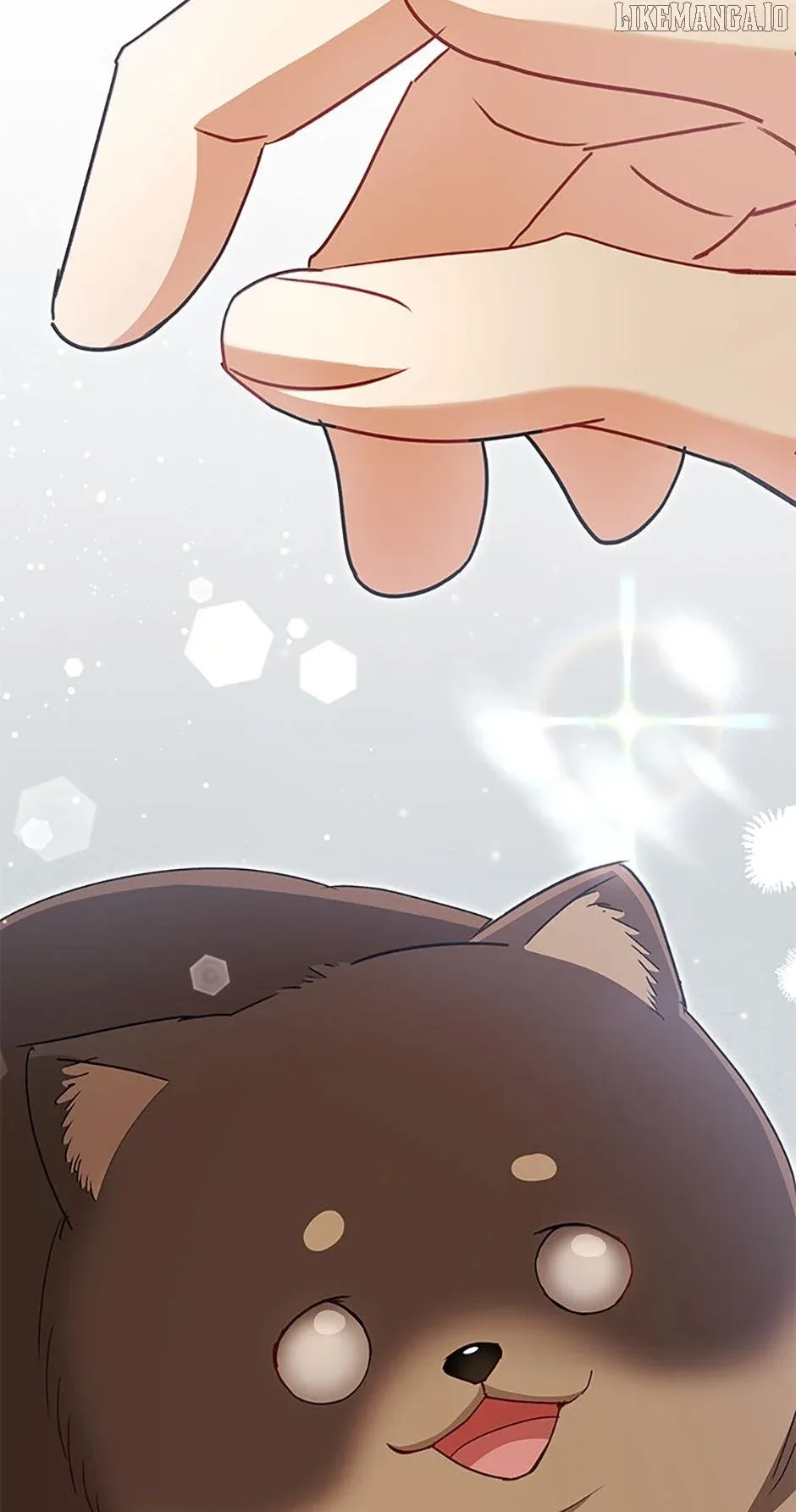 Hello! Veterinarian! Chapter 86 page 81