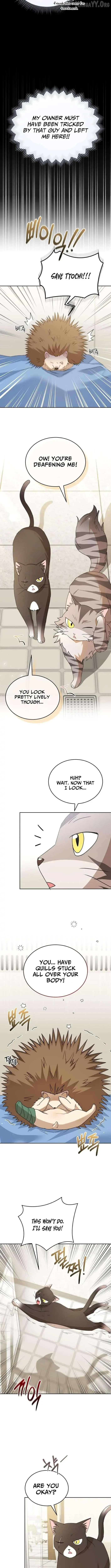 Hello! Veterinarian! Chapter 100 page 5