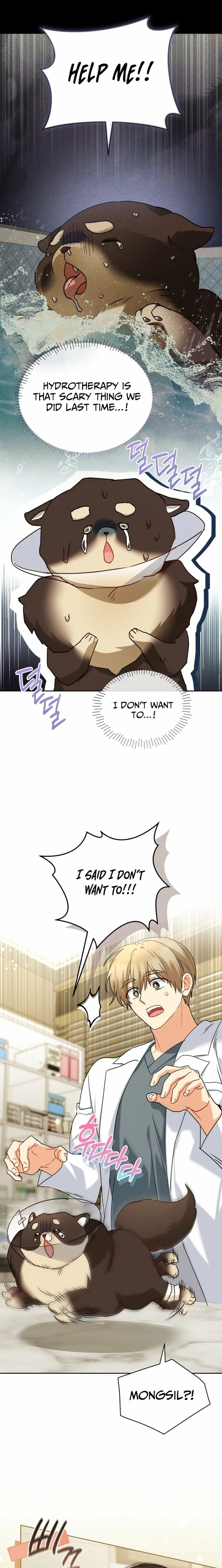 Hello! Veterinarian! Chapter 128 page 5