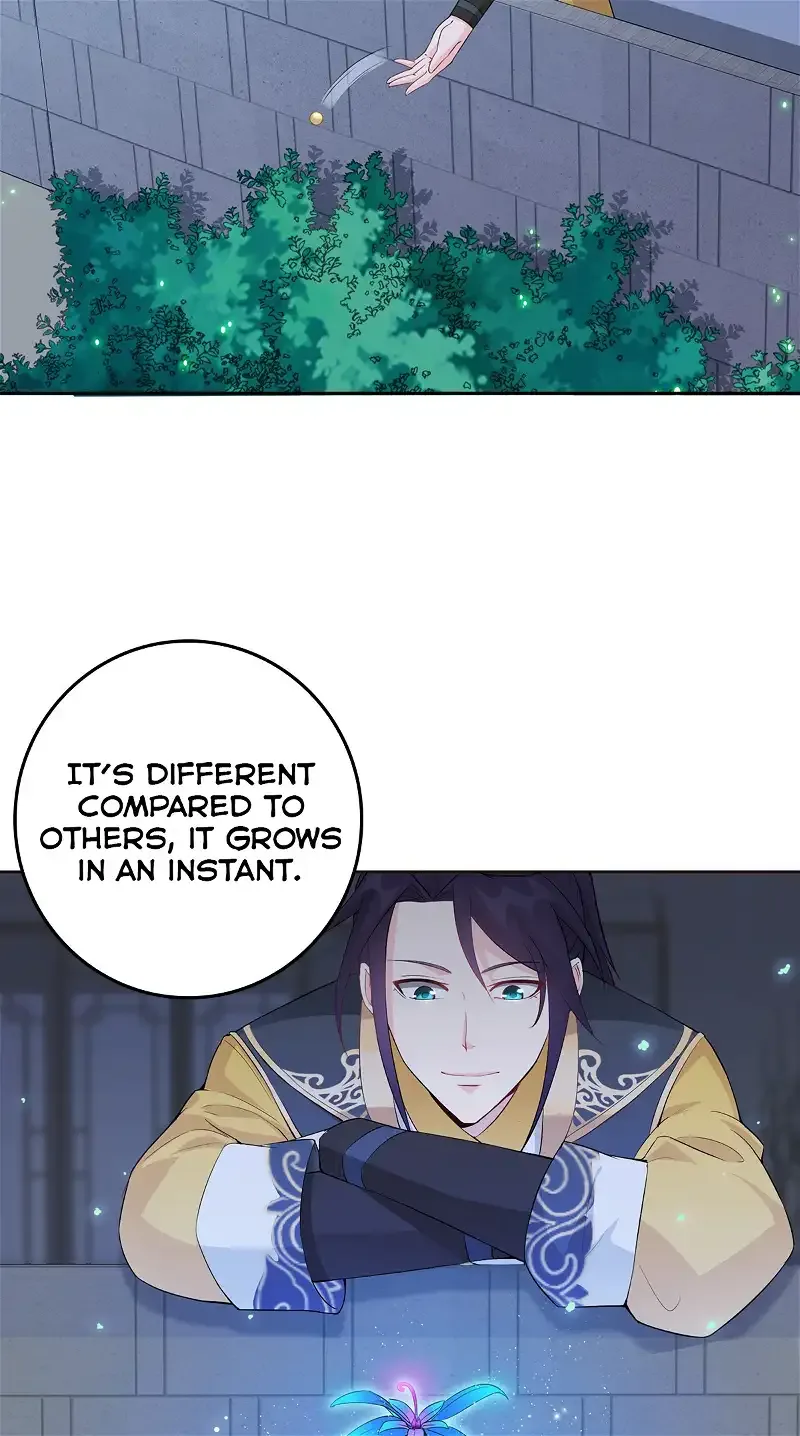 Forced To Become the Villain’s Son-in-law Chapter 6 page 4