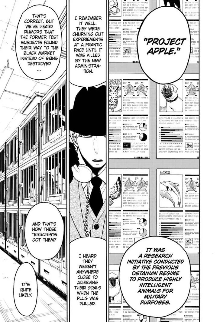 SPY x FAMILY Chapter 19 page 7