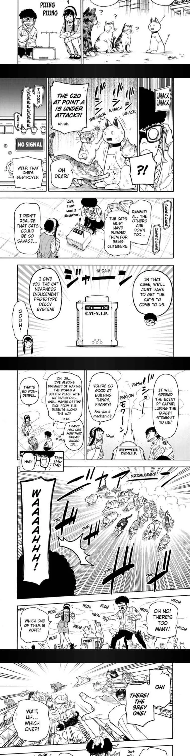 SPY x FAMILY Chapter 43 page 4
