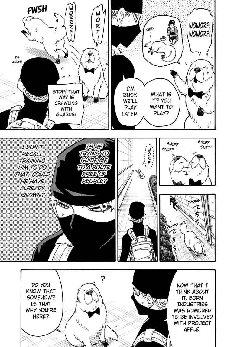 SPY x FAMILY Chapter 40 page 17