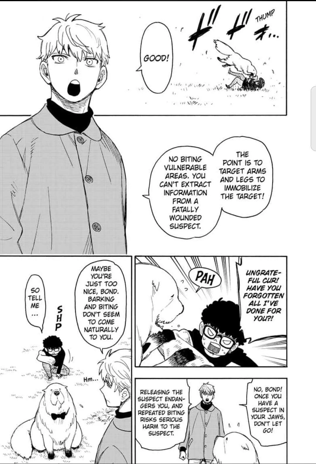 SPY x FAMILY Chapter 58.1 page 3