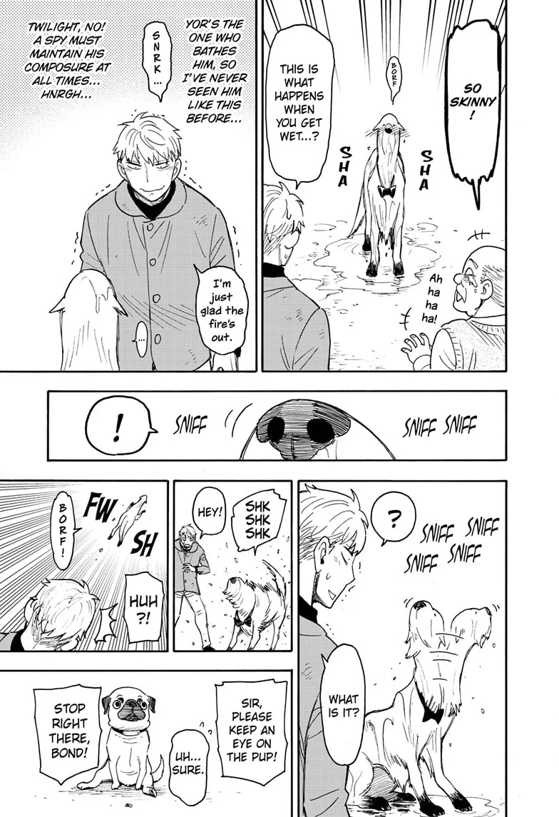 SPY x FAMILY Chapter 58.2 page 7
