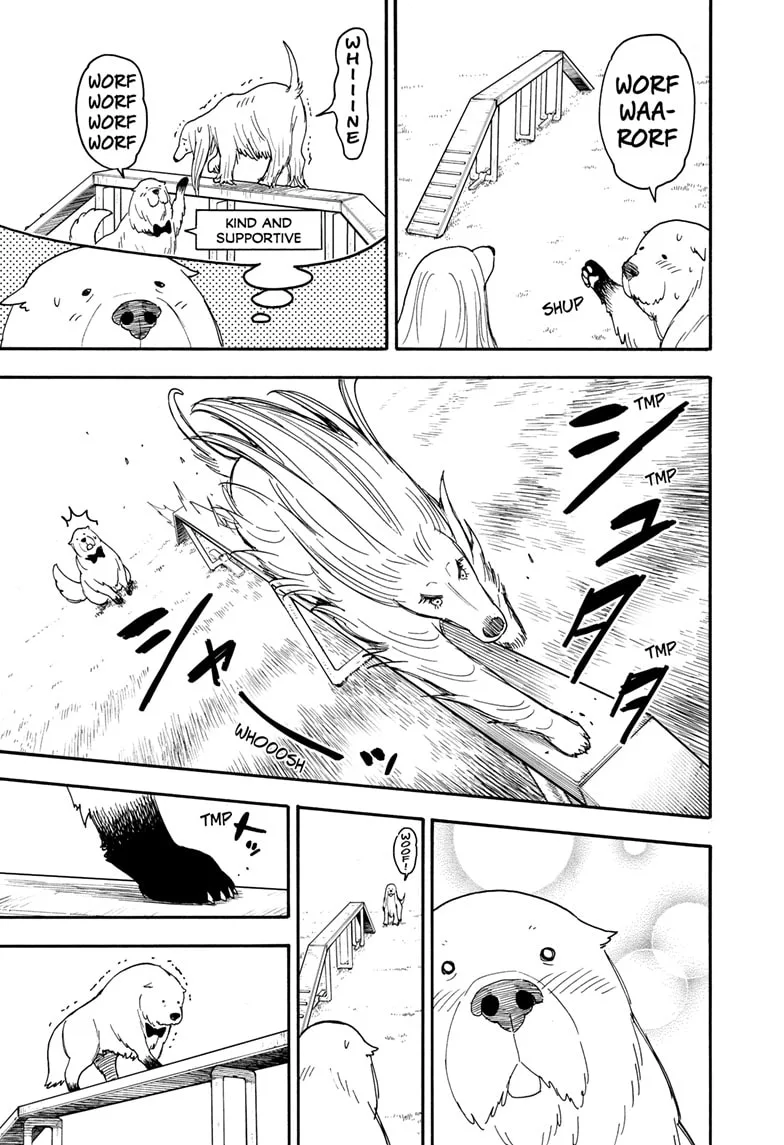 SPY x FAMILY Chapter 62.5 page 7