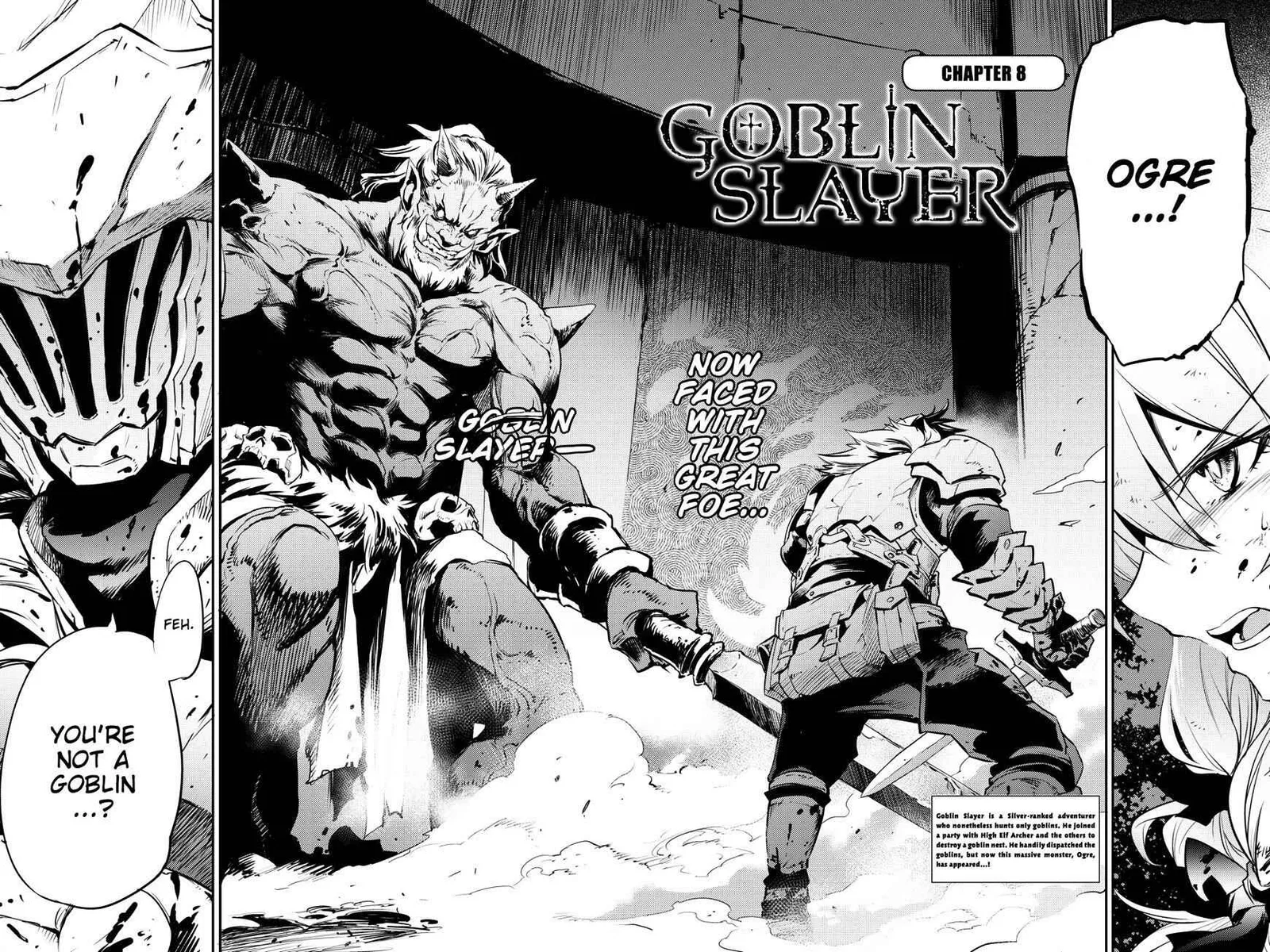 Goblin Slayer Chapter 8 page 3