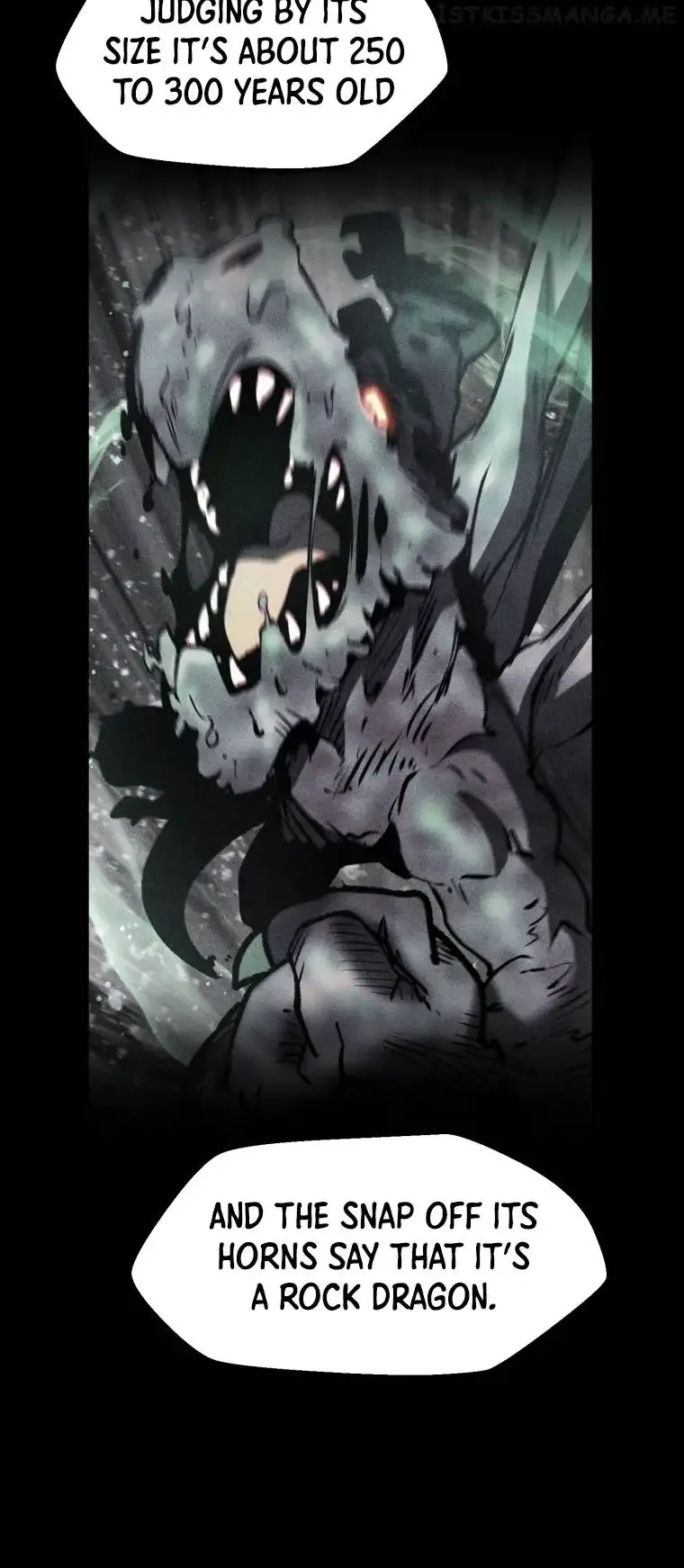 Survival Story of a Sword King in a Fantasy World Chapter 158 page 24