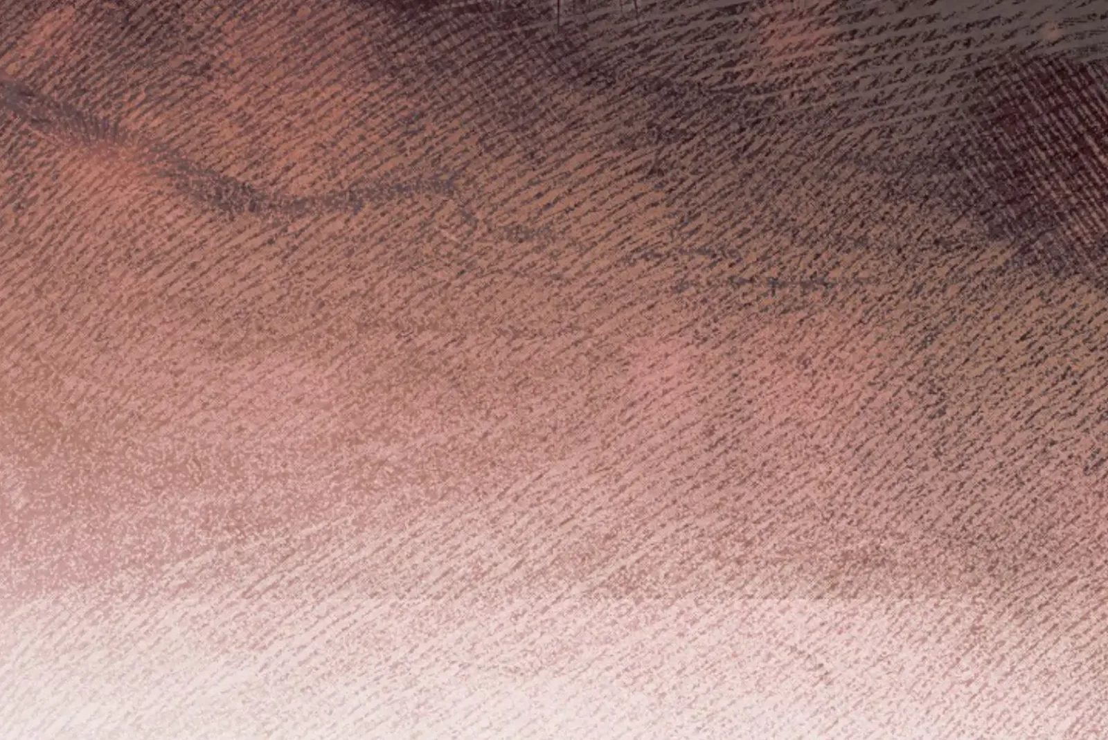 Try Begging Chapter 66 page 222