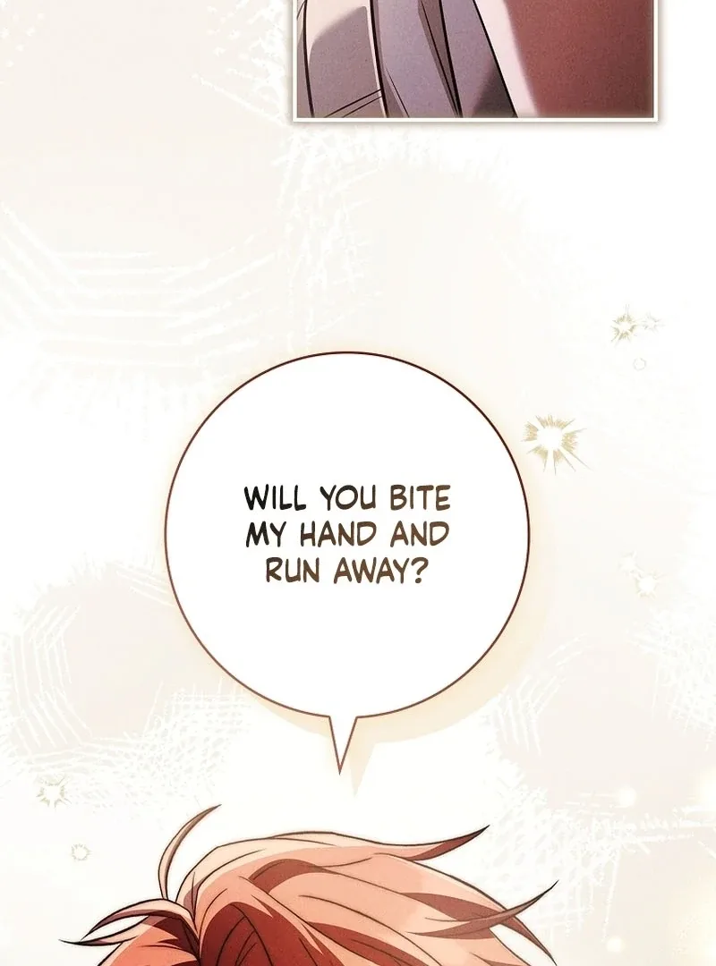 The Detective Agency For Regretful Male Leads Is Now Open For Business! Chapter 30 page 63
