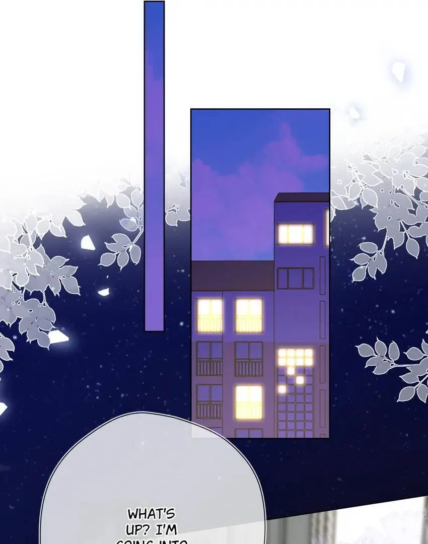 My Lucky Star Chapter 154 page 3