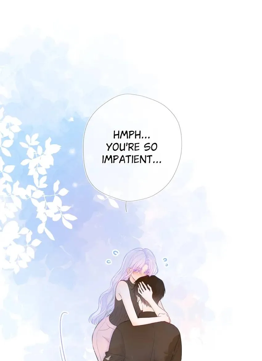 My Lucky Star Chapter 247 page 1
