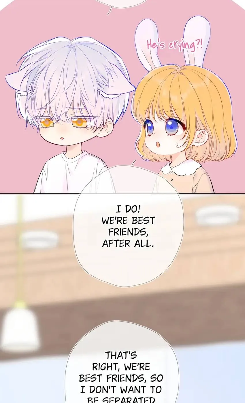 My Lucky Star Chapter 247 page 14