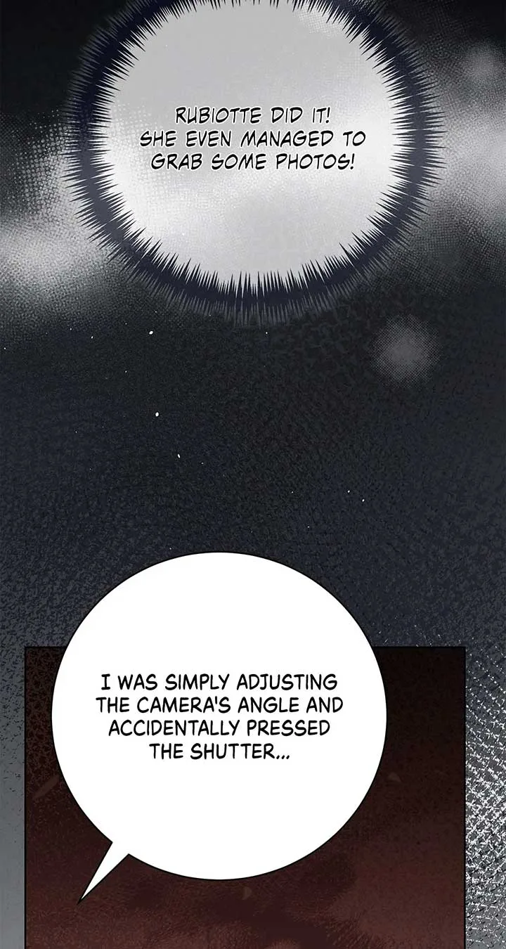 To My Husband’s Mistress Chapter 65 page 71