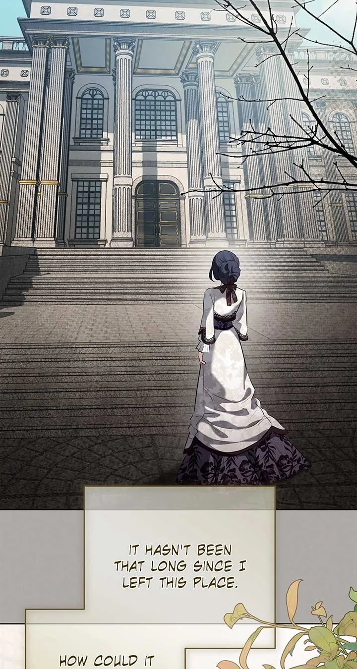 To My Husband’s Mistress Chapter 69 page 65