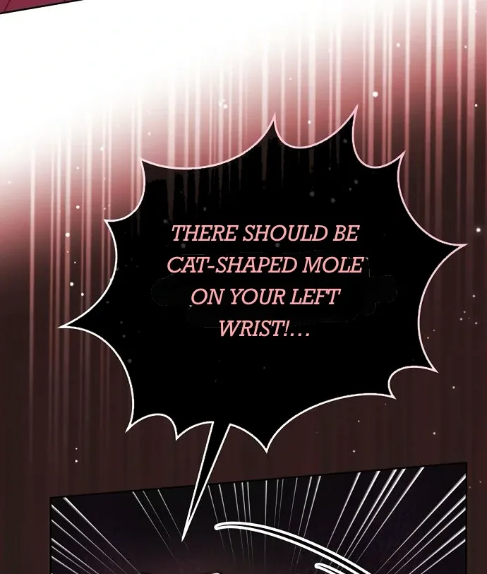 To My Husband’s Mistress Chapter 73 page 68