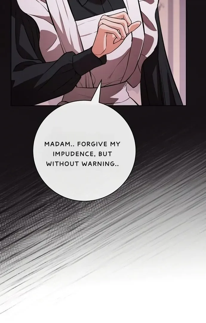 To My Husband’s Mistress Chapter 76 page 102