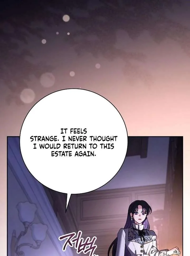 To My Husband’s Mistress Chapter 93 page 36