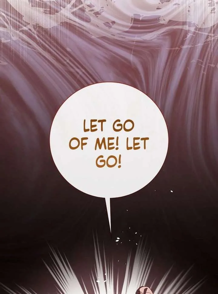 To My Husband’s Mistress Chapter 94 page 135
