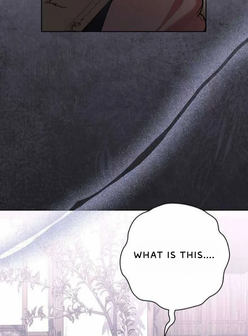 To My Husband’s Mistress Chapter 80 page 75