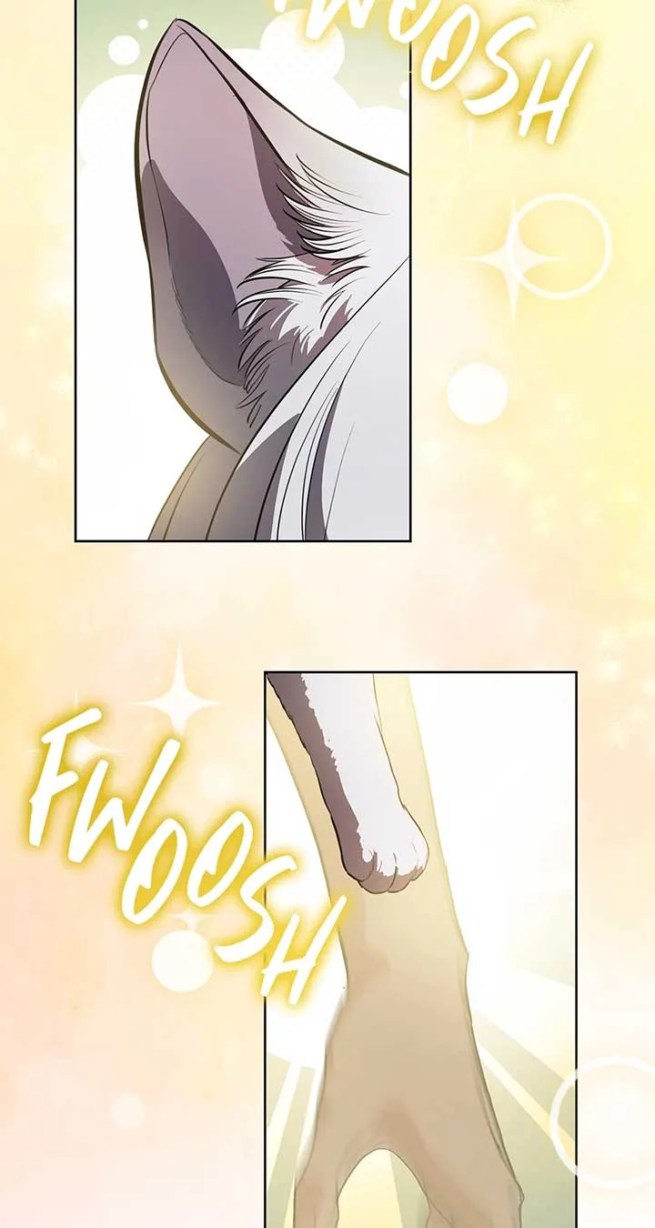 To My Husband’s Mistress Chapter 84 page 78