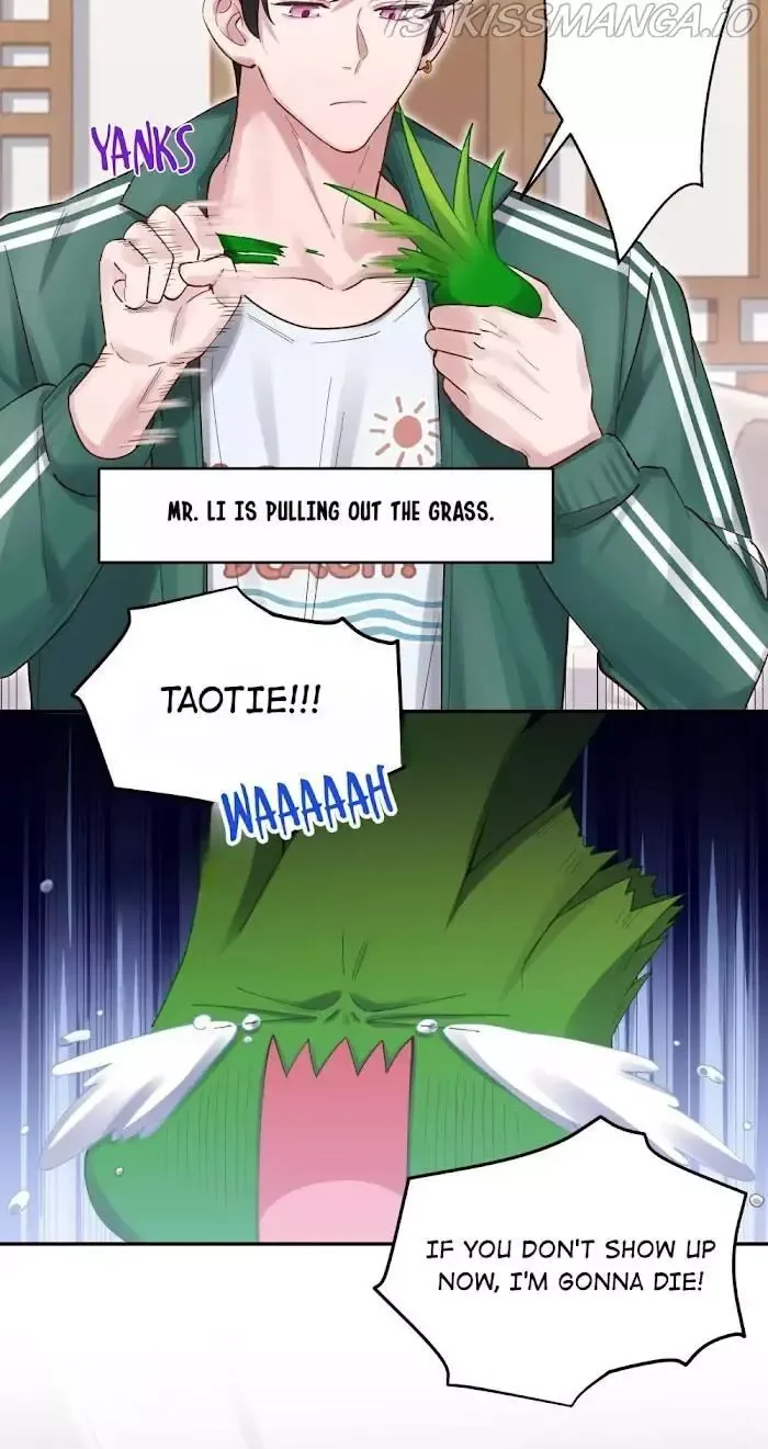 Paixiu restaurant, only in but not out Chapter 64 page 29