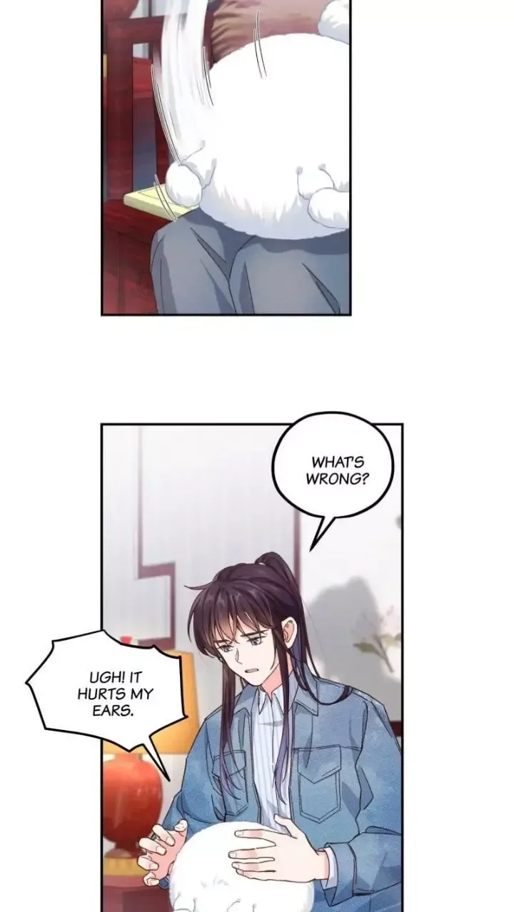 Paixiu restaurant, only in but not out Chapter 116 page 11