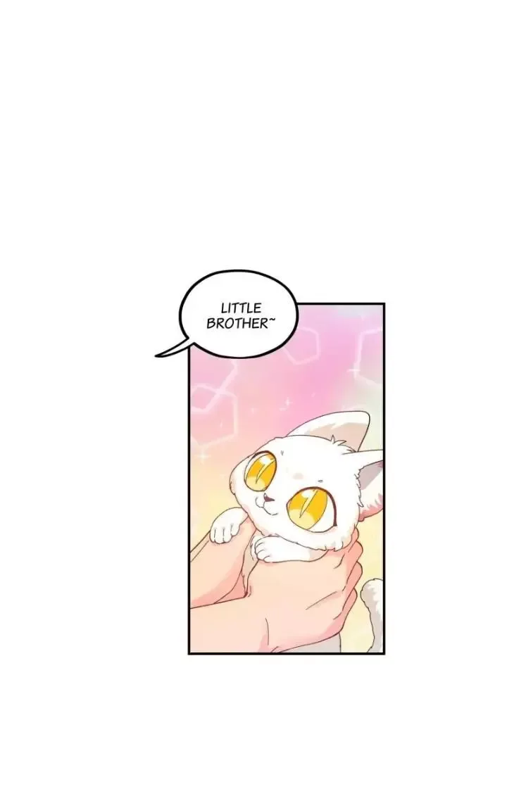 Paixiu restaurant, only in but not out Chapter 119 page 2