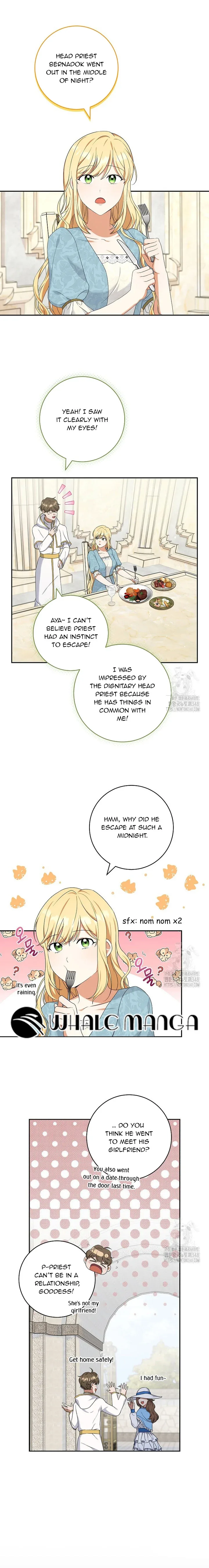 The Supporting Female Is Reborn, She Will No Longer Serve This Broken Plot Chapter 6 page 7