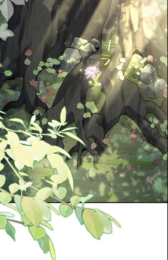 I dedicate my life to revenge Chapter 12 page 51