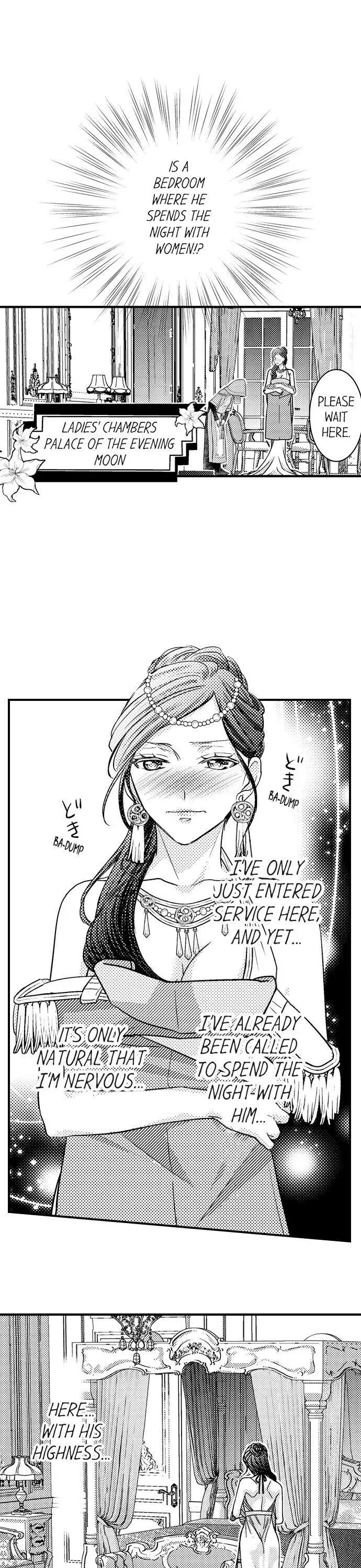 Isekai Ooku Ohi ni Naritakuba Yotogi de Denka ni Aisaretsuzuke yo Chapter 3 page 5